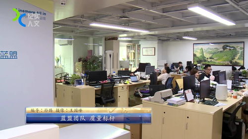 上海蓝盟网络技术